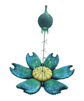 Oxygen Plant Flora