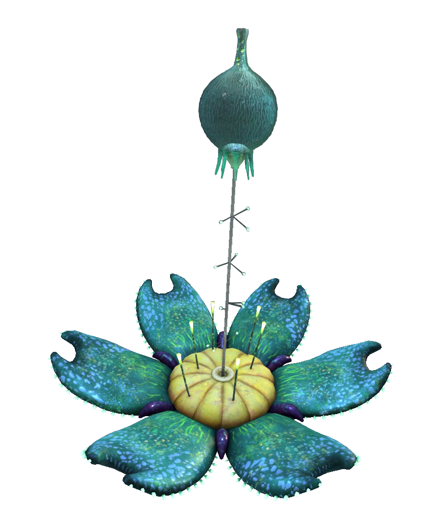 https://static.wikia.nocookie.net/subnautica/images/4/43/Oxygen_Plant_Flora.png/revision/latest?cb=20210807004537