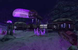 База «Дегази» в Пещерах медузных грибов