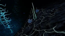 BKZs9.png (6,99 МБ) Скопление кварца