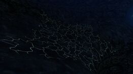 BKZn7.jpeg (262 КБ) Корневая система масляной водоросли