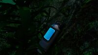 A Time Capsule in the Kelp Forest