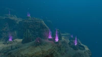 Overview of the biome's eastern section