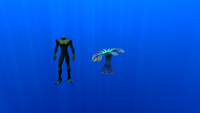 Size comparison with the player