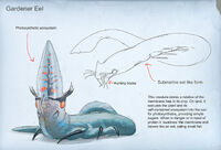 Gardener Eel (unused) - by Alex Ries