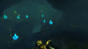 Crystal Caves Fissure