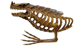 Sea Dragon Leviathan Skeleton