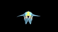 Brute Shark 2.jpg (69 KB) Front view