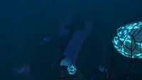 A Wreck located in a deeper area of the Grand Reef