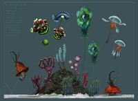 Old Flora and Fauna concept art, out of all these concepts only the Gabe's Feather made it into the game - by unknown artist