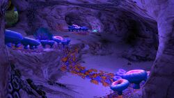 Safe Shallows Caves3.jpg