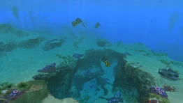 Три газобрюха на Безопасных отмелях