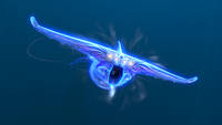 The Ghost Leviathan's charge attack