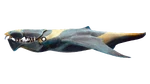 Brute Shark Fauna (BZ)