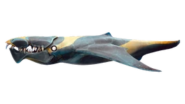 Brute Shark Fauna (BZ)