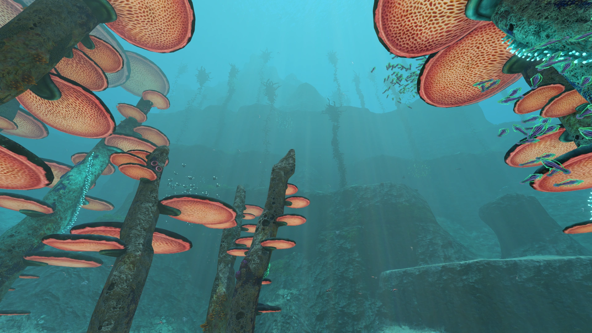 Subnautica 2 multipurpose room base layout — Shallow Reef guide