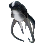 Knuddelfisch