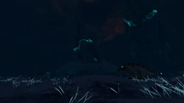 Снежные сталкеры в ночное время суток.