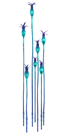 Blooming Raindrops Flora