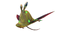 Stielauge