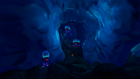 An opening into the cavernous areas of the biome