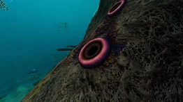 В Лесу грибов