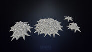 Highpoly model of unknown starfish-like organisms from Sketchfab