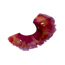 Spiral Plant Clipping Icon