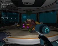 2018-03-22 00004.jpg (888 КБ) Вид изнутри третья комната