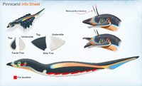 Detailing the Pinnacarid's body structure - by Alex Ries