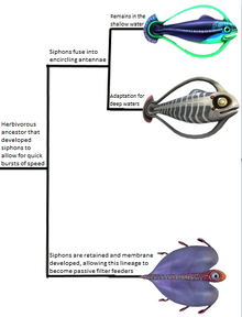 TendrilGroup.png