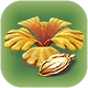 Семена корзиночника