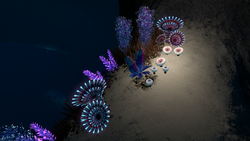 STP Tunnel Flora.png