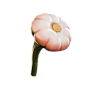 Young Cotton Anemone Icon.png