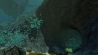 A small underwater cave at the base of the Mountain Island