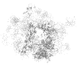 Bloomplankton-1