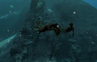 2021-10-07 00015.jpg (917 Кб) Чешет мордочку.