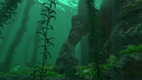 Kelp Forest Subnautica Wiki Fandom