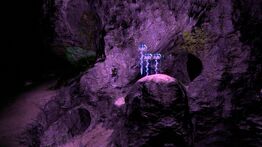 Kelp Forest Caves 03