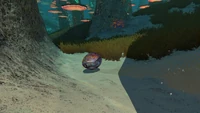 BonesharkEggInGame.png (6,26 MB) ’‘‘Jajo Rekina pancernego w Grzybowym lesie