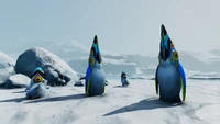 A group of Penglings and Pengwings on an ice float