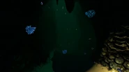 Shuttlebugs et autres formes de vie de l'Abysse des Récifs clairsemés