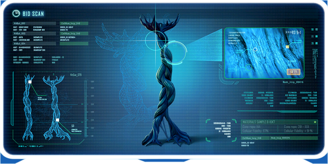 Lily Pad Root Ency