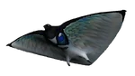 Skyray Fauna.png