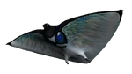 Skyray Fauna