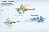 Brinewing infosheet