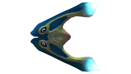Boomerang Fauna