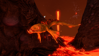 A Lava Lizard in the Lava Lakes