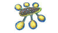 Schwebefisch