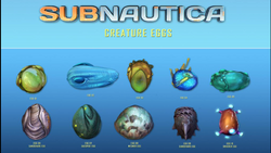 Subnautica eggs store